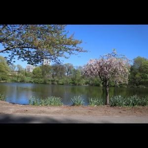 Meet your Posher, Sabrina